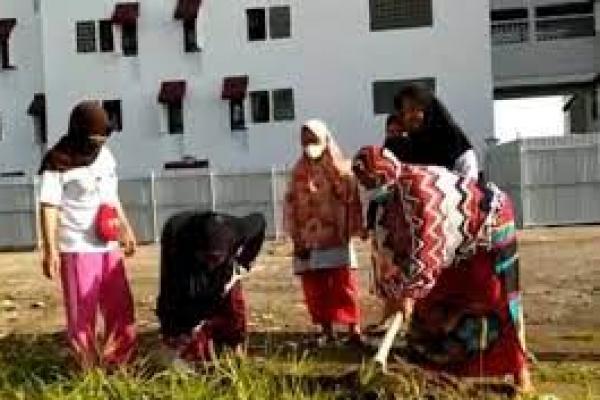 Dengan Besek Bambu, Anies Bawa Tanah Kampung Akuarium ke IKN Nusantara