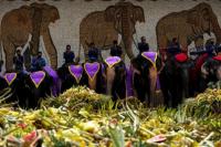 Thailand Menggelar Pesta Prasmanan Bagi 60 Gajah di Taman Botani