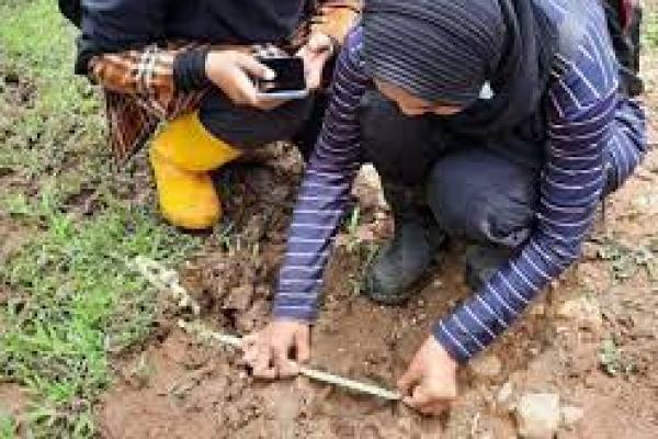 Harimau Serang Ternak Warga di Agam Sumatera Barat