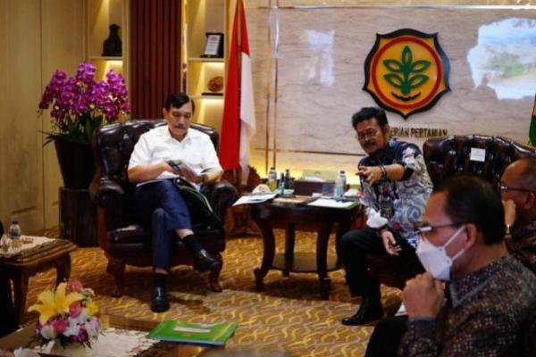 Luhut Minta PUPR Bantu Kementan, Bangun Infrastruktur Food Estate Kalteng