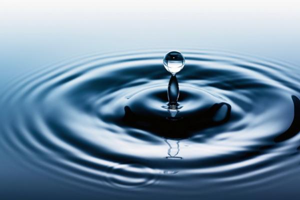 Kisah Inspiratif Lelaki Memberi Anjing Minum