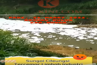 Lagi-Lagi Pencemaran Limbah Industri di Sungai Cileungsi 
