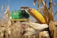 Memperhatikan Krisis Pangan, Rusia Diminta Tidak Disingkirkan dari G20