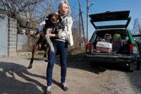 Ditinggalkan di Ukraina Timur, Kucing dan Anjing Cari Rumah Baru di Rusia