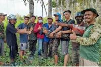 Balai Konservasi Tangkap 11 Buaya di Banyuasin, Sumsel