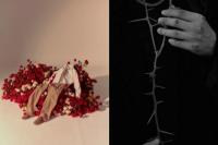 Ryeowook SUJU Akan Segera Merilis EP Solo Ketiganya