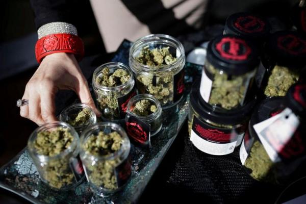 New Jersey Resmi Luncurkan Penjualan Ganja Rekreasi di 13 Apotek Medis