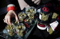 New Jersey Resmi Luncurkan Penjualan Ganja Rekreasi di 13 Apotek Medis