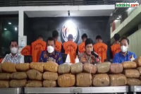 8 Tersangka Pengedar Ganja 471 Kg Diringkus Polda Metro