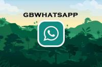 Download GB WhatsApp, Sederet Fitur dan Risiko Gunakan WhatsApp Mod