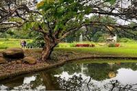 Libur Lebaran, Yuk Kunjungi Taman Hari Raya di Kebun Raya Bogor