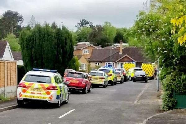 Seorang Pria Tua Tewas Oleh Gergaji Mesin di Inggris