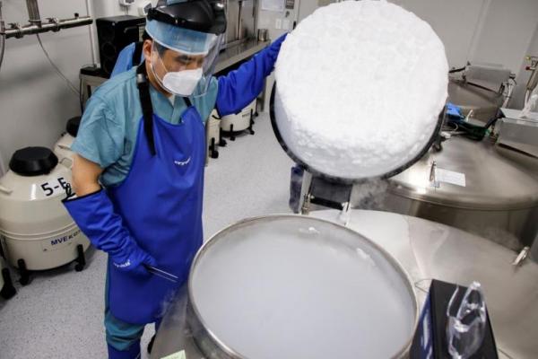 Biaya Besarkan Anak Mahal, Wanita Korea Selatan Pilih Bekukan Sel Telur