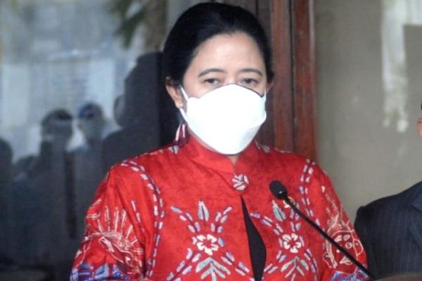 Jelang Idul Adha, Pemerintah Diminta Serius Atasi Penyakit dan Rantai Pasok Hewan Kurban