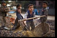 ILO: Lebih dari 160 Juta Anak di Seluruh Dunia Jadi Pekerja