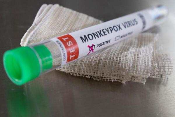 Kasus Cacar Monyet Pertama Terdeteksi di Azerbaijan