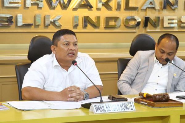 DPD Minta Percepat Penyusunan PKPU