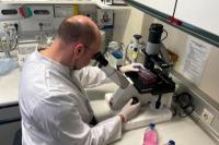 Jerman Memesan 40.000 Dosis Vaksin untuk Cegah Penyebaran Cacar Monyet
