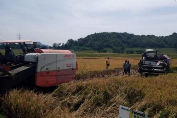 Percepat Alih Teknologi untuk Petani, Kementan Genjot Kualitas SDM