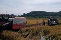 Percepat Alih Teknologi untuk Petani, Kementan Genjot Kualitas SDM