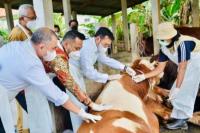 Mentan Syahrul Harap PMK pada Level Ringan dan Beresiko Rendah