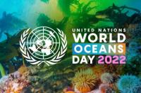 8 Juni Hari Laut Sedunia, Simak Sejarah dan Tujuan World Oceans Day