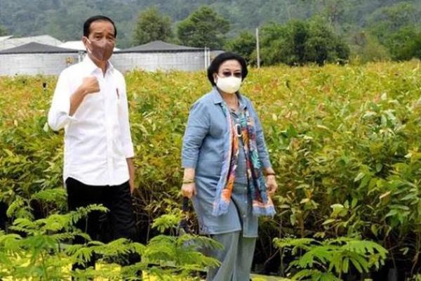 Jokowi Target Indonesia Miliki 360 Juta Bibit Dalam Tiga Tahun