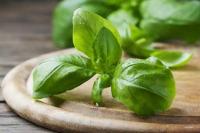 Enak sebagai Bumbu Masak, Berikut 5 Manfaat Minyak Daun Basil untuk Kesehatan