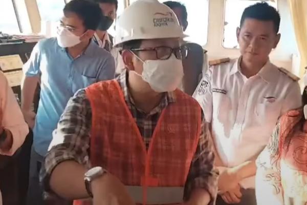 NFA Intensifkan Mobilisasi Sapi dari Daerah Bebas PMK