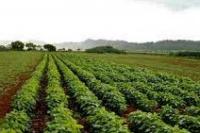 Inilah Segundang Manfaat dari Susu Kedelai