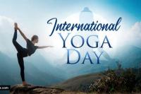 21 Juni Hari Yoga Internasional, Gaya Hidup Selaras dengan Bumi