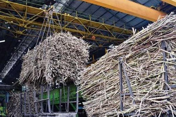 Masih Pakai Mesin Zaman Belanda, Pabrik Gula BUMN Harus Direvitalisasi
