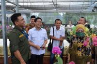 Gus Halim Dorong Desa Tertinggal Budidayakan Tanaman Anggrek