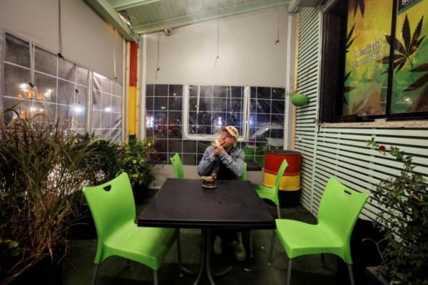 PBB: Penggunaan Ganja Naik karena Legalisasi dan Penguncian COVID