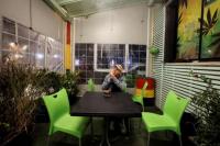 PBB: Penggunaan Ganja Naik karena Legalisasi dan Penguncian COVID