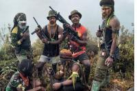 Golkar Minta TNI-Polri Tindak Tegas KKB di Papua