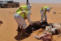 Mayat 20 Migran Ditemukan di Gurun Libya, 2 Pekan Setelah Hilang