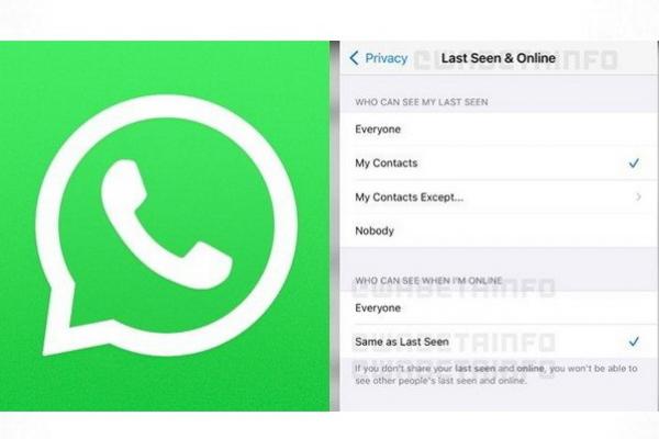 Fitur Baru WhatsApp Sembunyikan Status Online di Android hingga WhatsApp Web