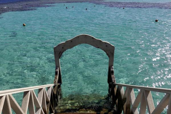 Diserang Hiu, Dua Wanita Tewas di Pantai Laut Merah Mesir