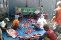 Ahmad Iman Salurkan Sapi Qurban di Lima Kabupaten