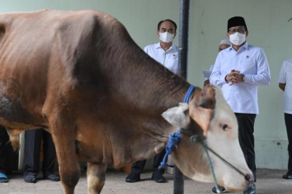 Gus Halim: Perayaan Idul Adha Jadi Penggerak Perekonomian dan Ketahanan Desa