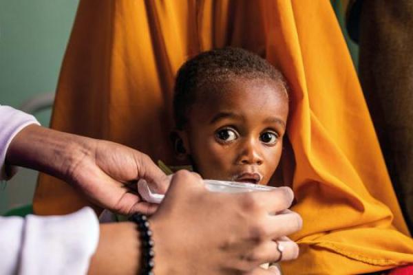 Palang Merah: Jutaan Orang Menghadapi Kelaparan Parah di Seluruh Dunia