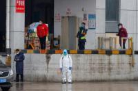 Trending di Weibo, Wuhan China Deteksi Bakteri Kolera pada Kura-kura