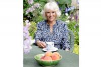 Ulang Tahun Ke-75, Istana Rilis Potret Terbaru Camilla, Duchess of Cornwall