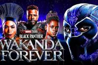 Black Panther: Wakanda Forever, Nuansa Emosional Tanpa Hadirnya Chadwick Boseman