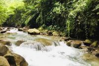 27 Juli Hari Sungai Nasional, Jaga Kebersihan Sungai agar tak Rusak dan Tercemar