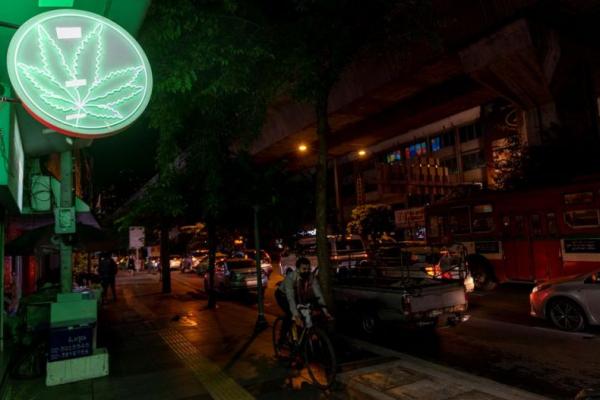 Bisnis Thailand Menguangkan Ganja, dari Teh Susu hingga Pasta Gigi
