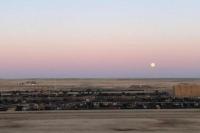 Efek Gelombang Panas, Ribuan Sapi Mati dan Dibuang di TPA Kansas