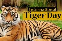 29 Juli Hari Harimau Sedunia, Perlindungan Harimau dan Habitat Alaminya