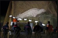 Upaya Penyelamatan Paus Beluga yang Terjebak di Sungai Seine Gagal